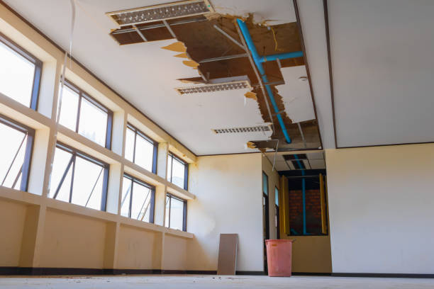 Best Sewage cleanup and water damage restoration  in Peosta, IA