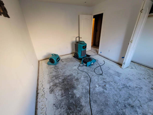 Best Commercial water damage restoration  in Peosta, IA