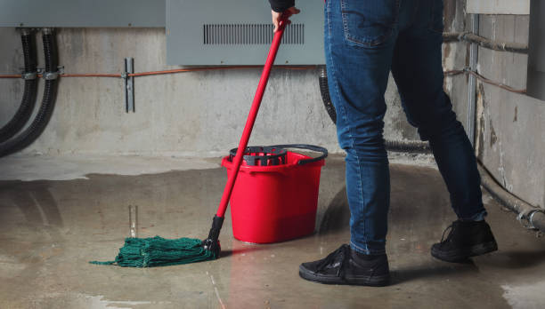 Sewage cleanup and water damage restoration in Peosta, IA
