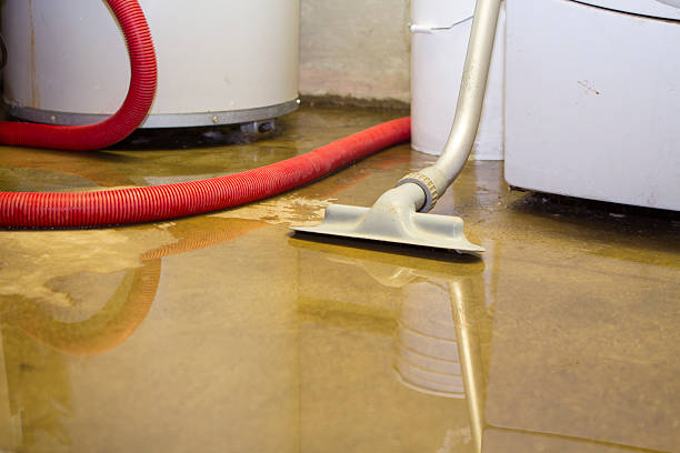 Best Water damage contractors near me  in Peosta, IA