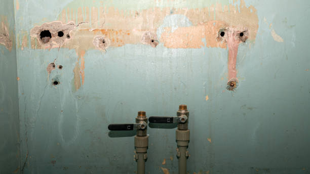 Best 24-hour water damage restoration  in Peosta, IA